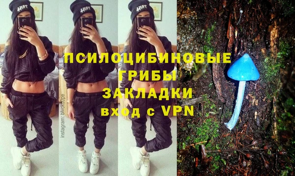 тгк Алзамай