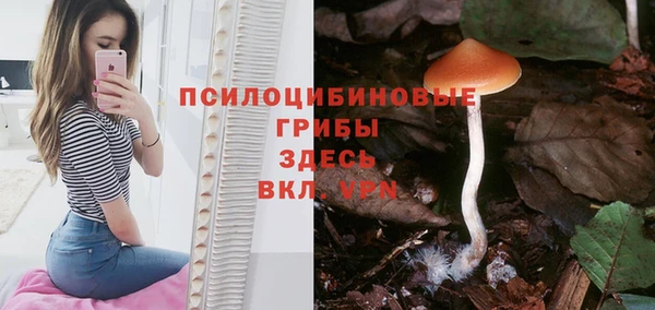 тгк Алзамай