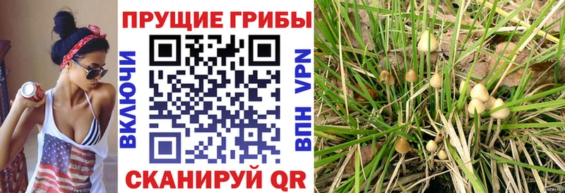 Псилоцибиновые грибы Magic Shrooms наркошоп ОМГ ОМГ ссылка Балабаново
