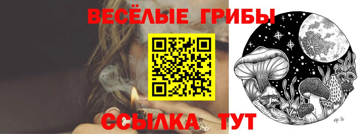 Псилоцибиновые грибы MAGIC MUSHROOMS Балабаново
