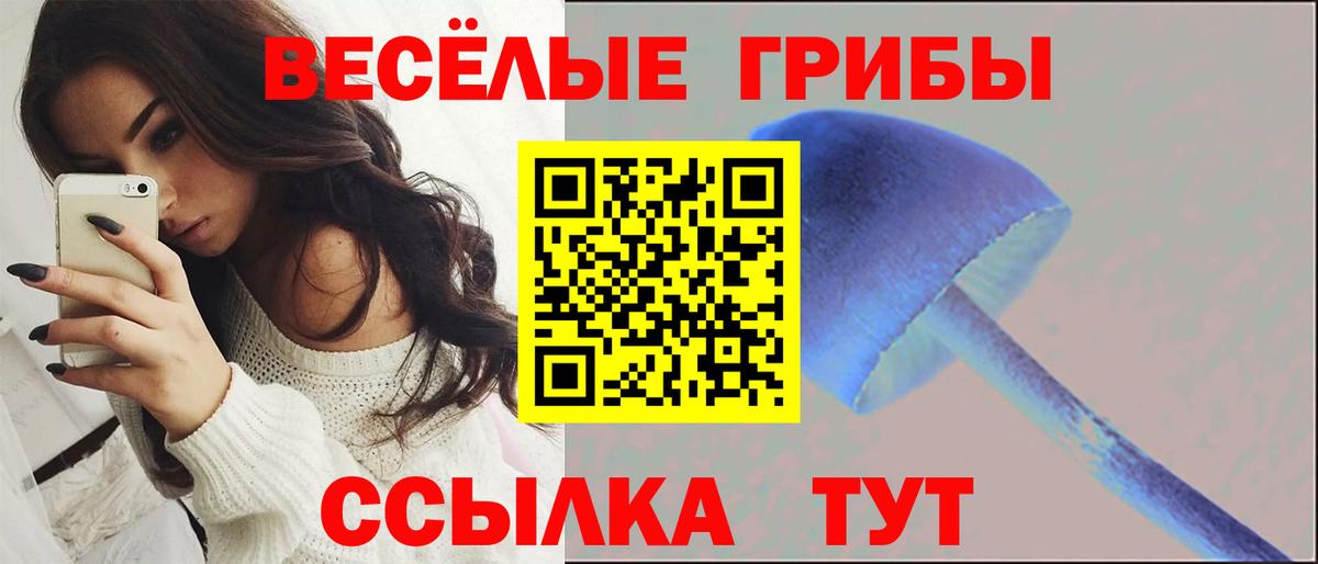 Галлюциногенные грибы прущие грибы  Вход с VPN  Балабаново 